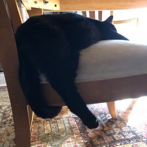 Meet your Posher, Jenna